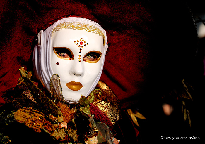 Copyright Stefano Maselli